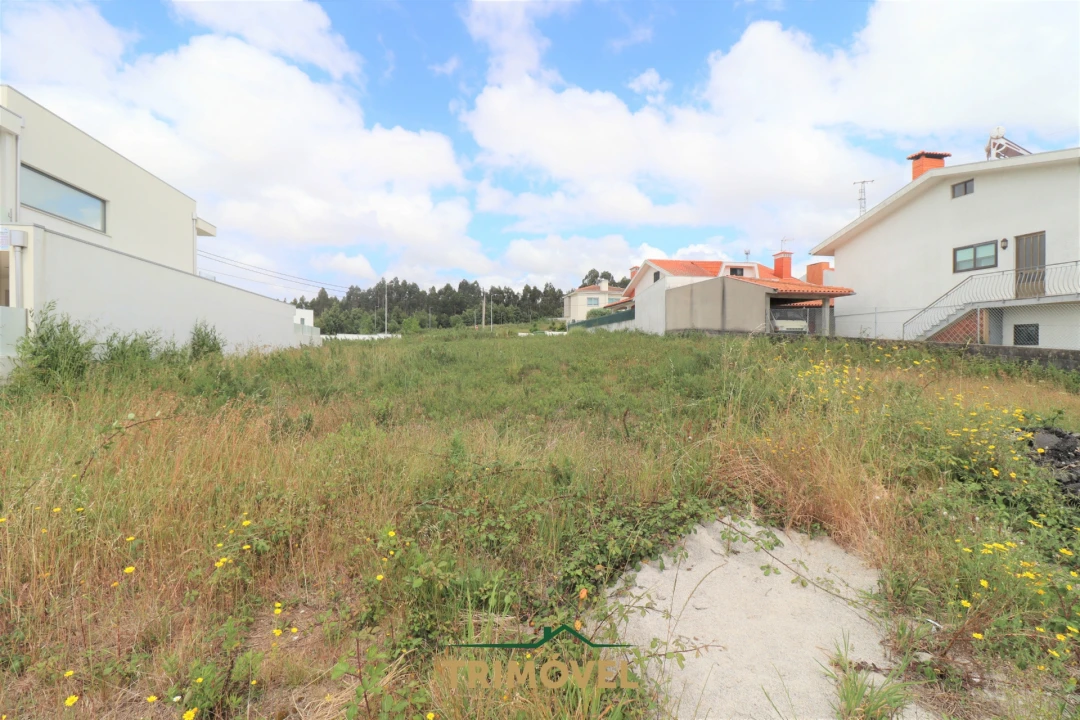Terreno para Venda em Vila de Cucujães Foto 3