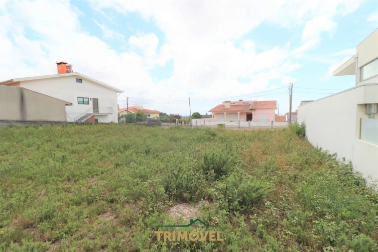 Terreno para Venda em Vila de Cucujães Foto 11
