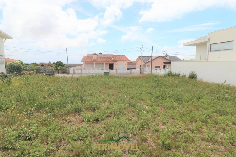 Terreno para Venda em Vila de Cucujães Foto 10
