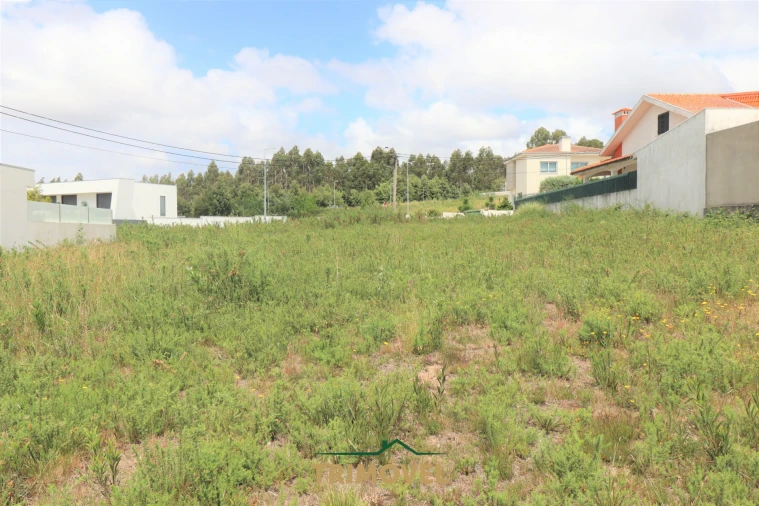 Terreno para Venda em Vila de Cucujães Foto 8