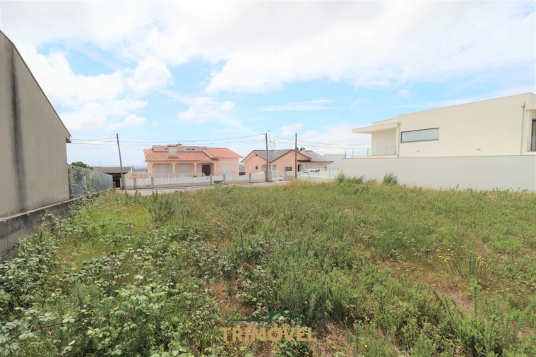 Terreno para Venda em Vila de Cucujães