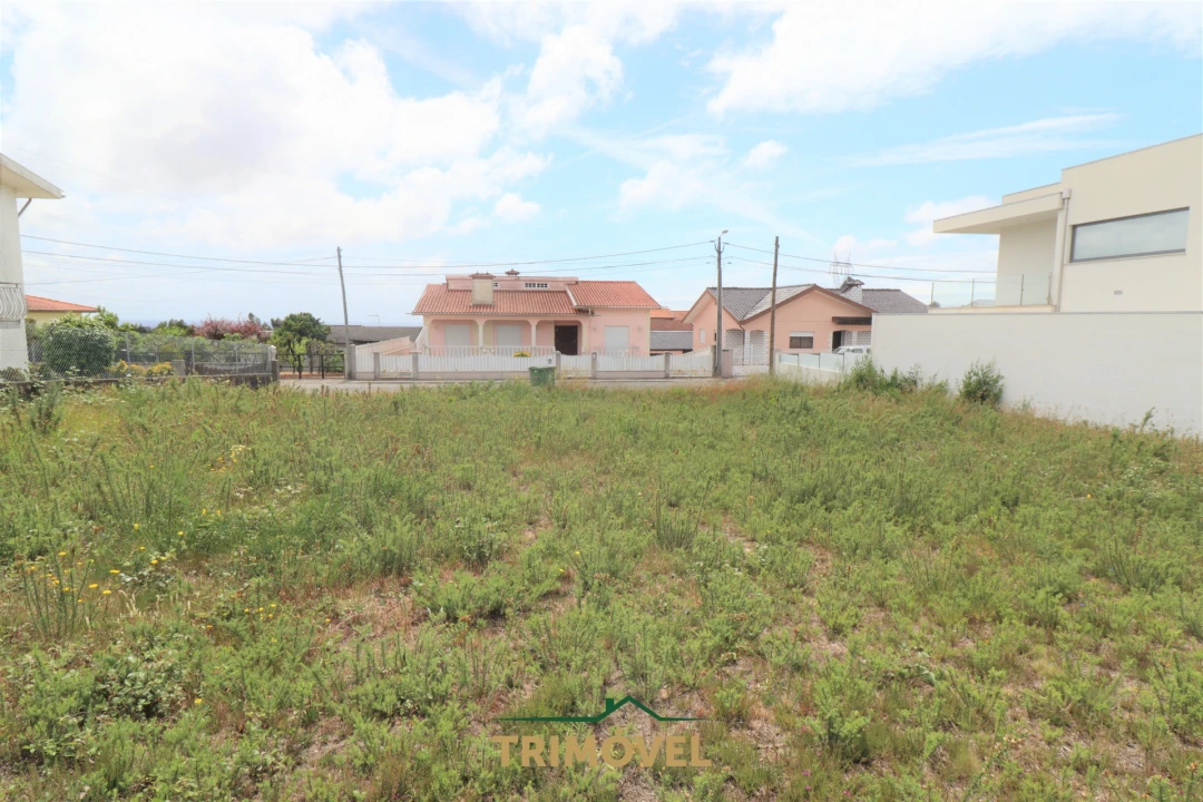 Terreno para Venda em Vila de Cucujães Foto 10