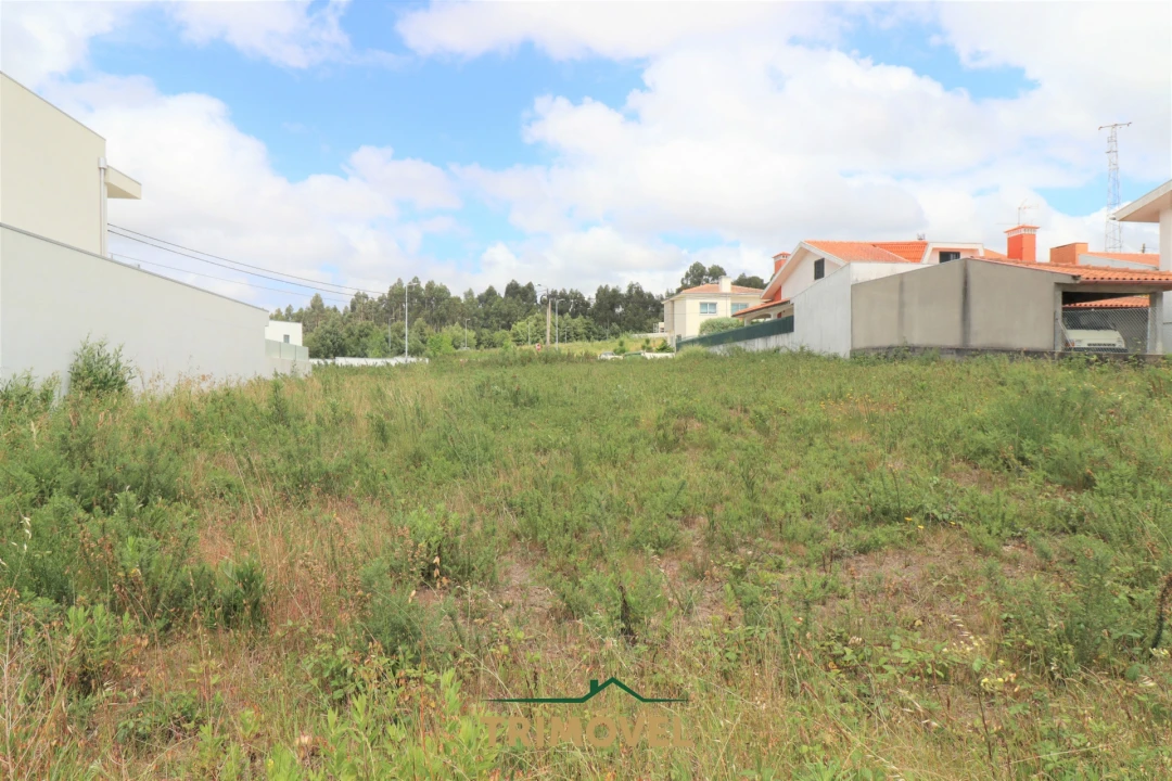 Terreno para Venda em Vila de Cucujães Foto 7