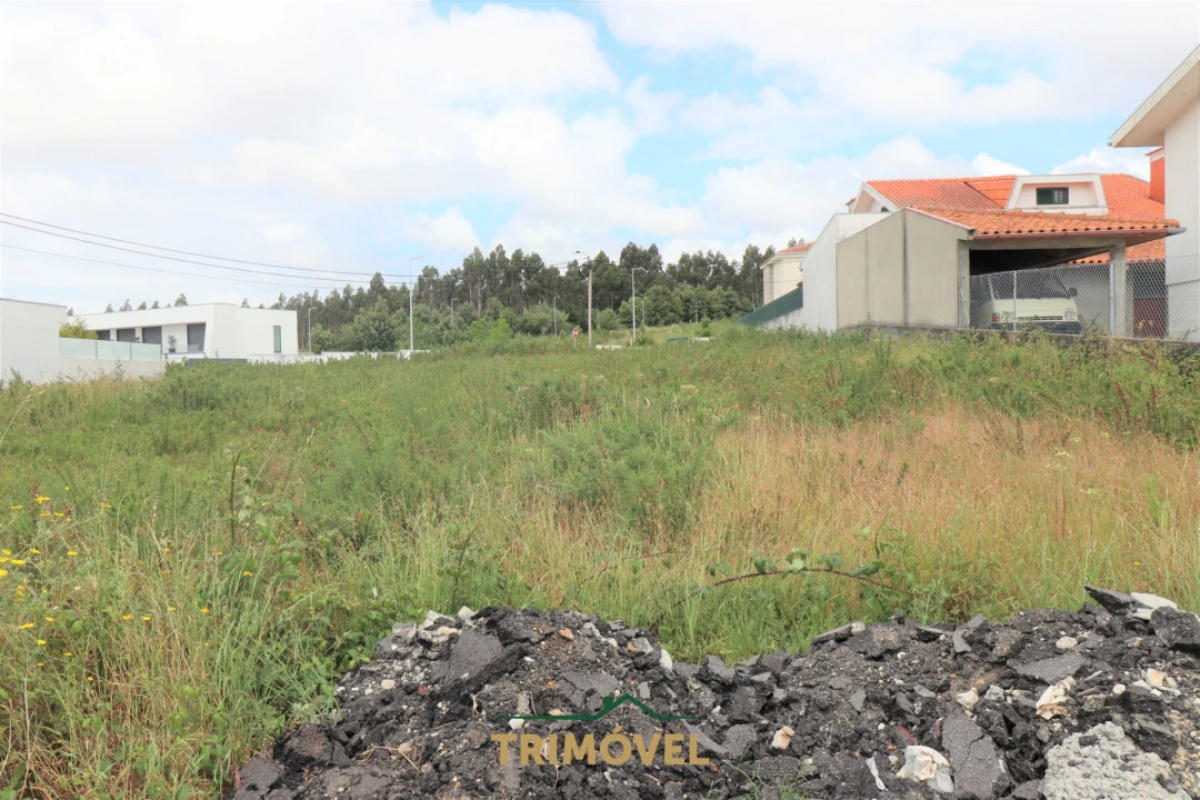 Terreno para Venda em Vila de Cucujães Foto 5