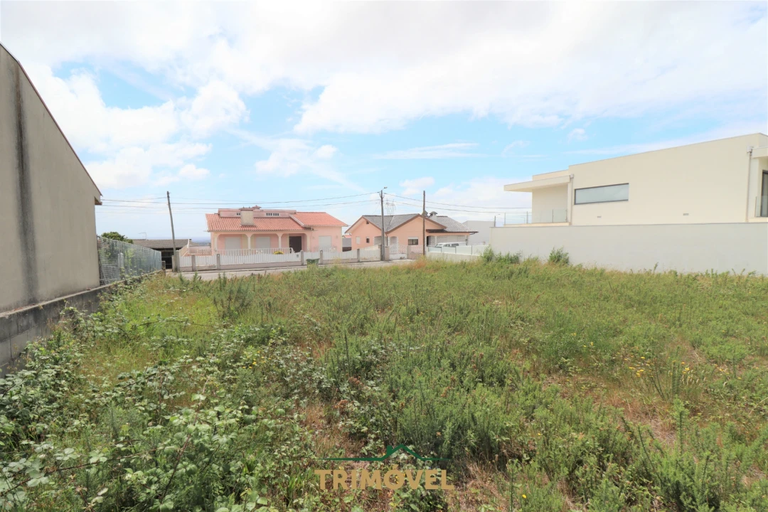 Terreno para Venda em Vila de Cucujães Foto 1