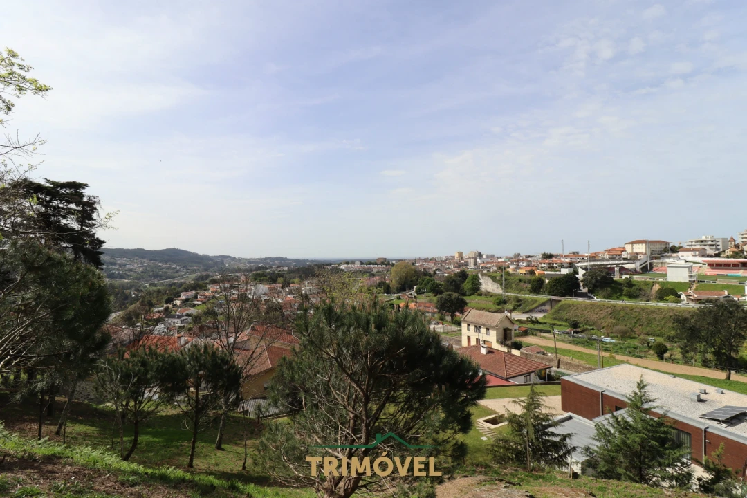 Quinta T14 para Venda em O. Azeméis, Riba-Ul, Ul, Macinhata Seixa, Madail Foto 20