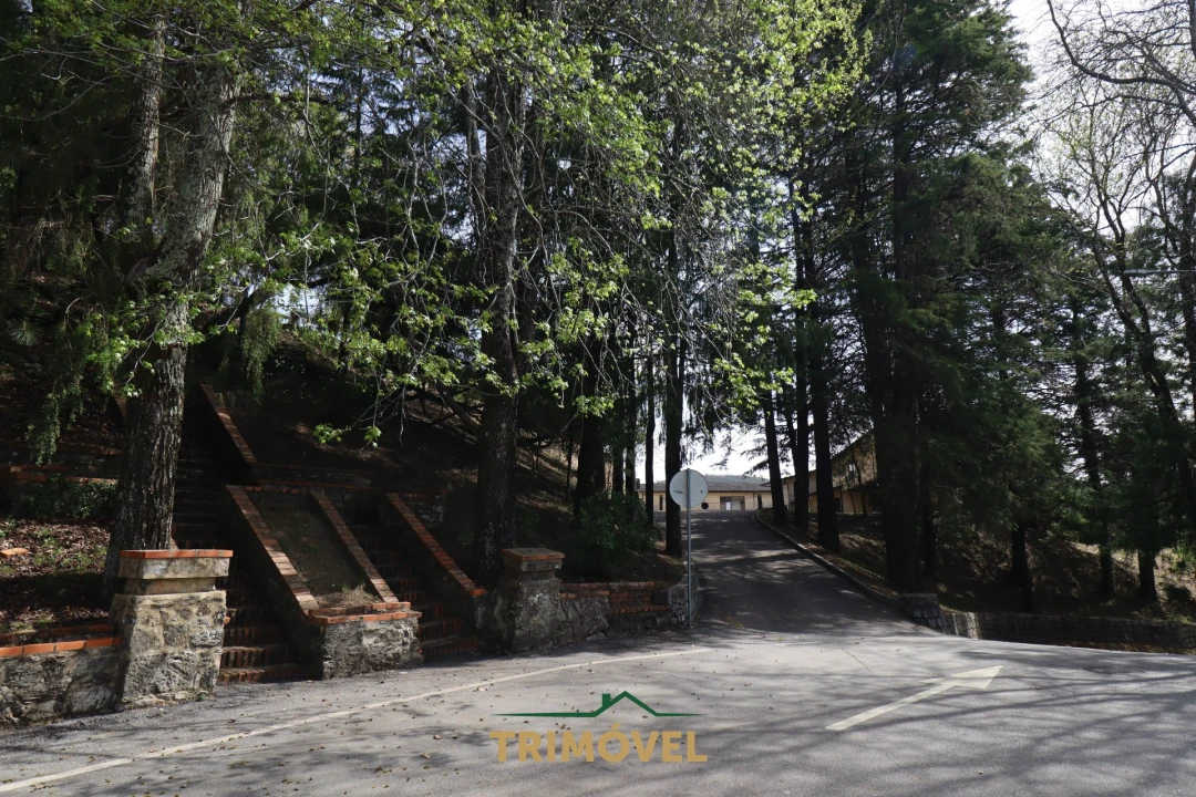 Quinta T14 para Venda em O. Azeméis, Riba-Ul, Ul, Macinhata Seixa, Madail Foto 22