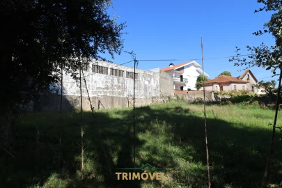 Terreno para Venda em O. Azeméis, Riba-Ul, Ul, Macinhata Seixa, Madail