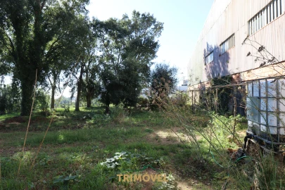 Terreno para Venda em O. Azeméis, Riba-Ul, Ul, Macinhata Seixa, Madail