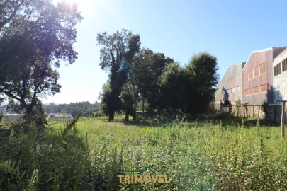 Terreno para Venda em O. Azeméis, Riba-Ul, Ul, Macinhata Seixa, Madail