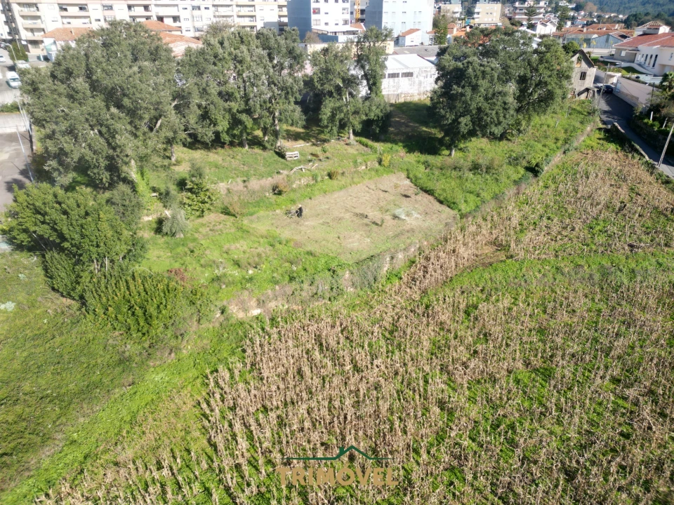 Terreno para Venda em O. Azeméis, Riba-Ul, Ul, Macinhata Seixa, Madail Foto 4