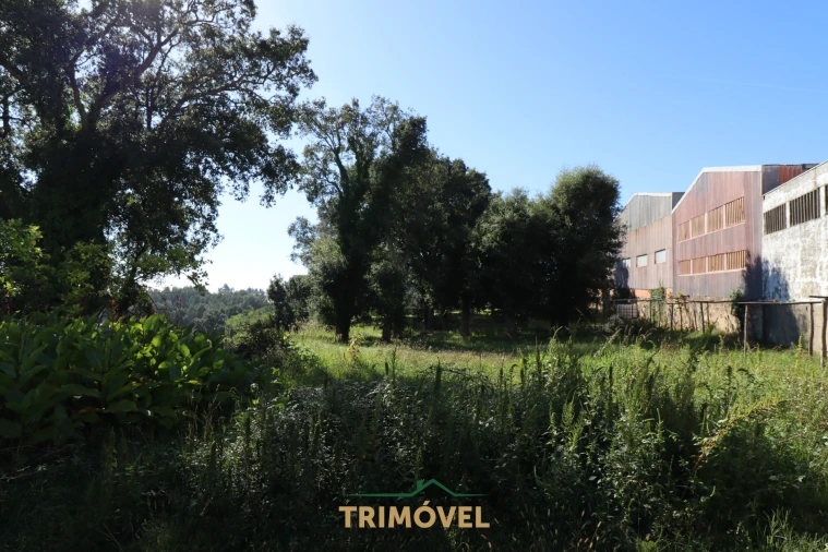 Terreno para Venda em O. Azeméis, Riba-Ul, Ul, Macinhata Seixa, Madail Foto 16