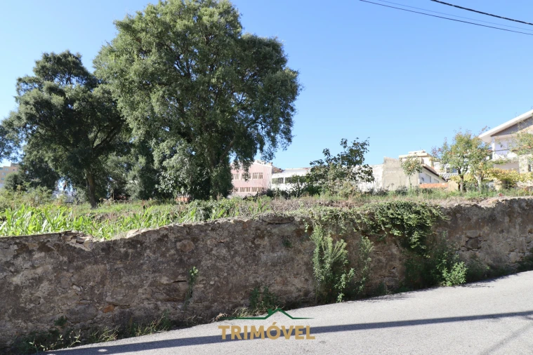 Terreno para Venda em O. Azeméis, Riba-Ul, Ul, Macinhata Seixa, Madail Foto 15