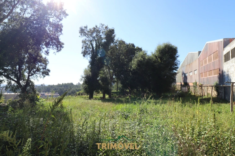 Terreno para Venda em O. Azeméis, Riba-Ul, Ul, Macinhata Seixa, Madail Foto 6