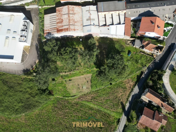 Terreno para Venda em O. Azeméis, Riba-Ul, Ul, Macinhata Seixa, Madail Foto 3