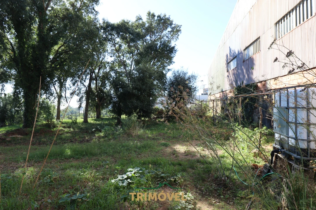 Terreno para Venda em O. Azeméis, Riba-Ul, Ul, Macinhata Seixa, Madail Foto 9