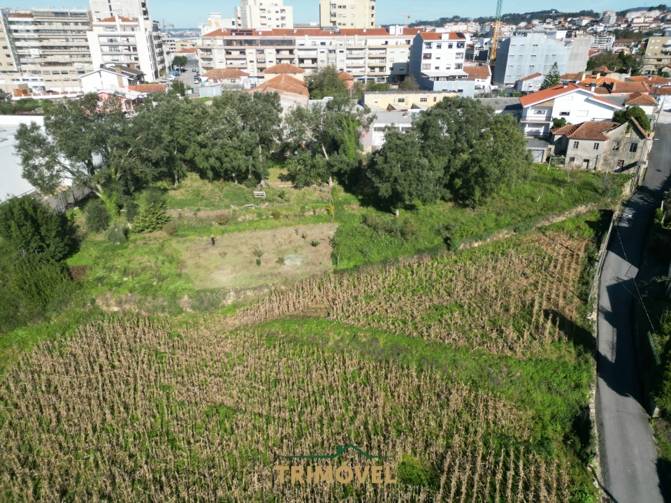 Terreno para Venda em O. Azeméis, Riba-Ul, Ul, Macinhata Seixa, Madail Foto 1