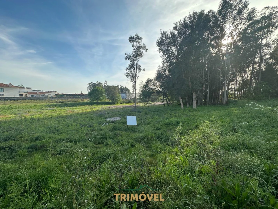 Terreno para Venda em São Roque Foto 10