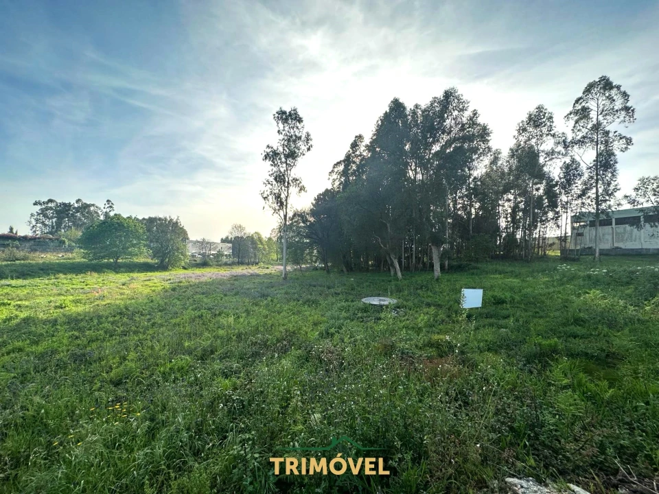 Terreno para Venda em São Roque Foto 9