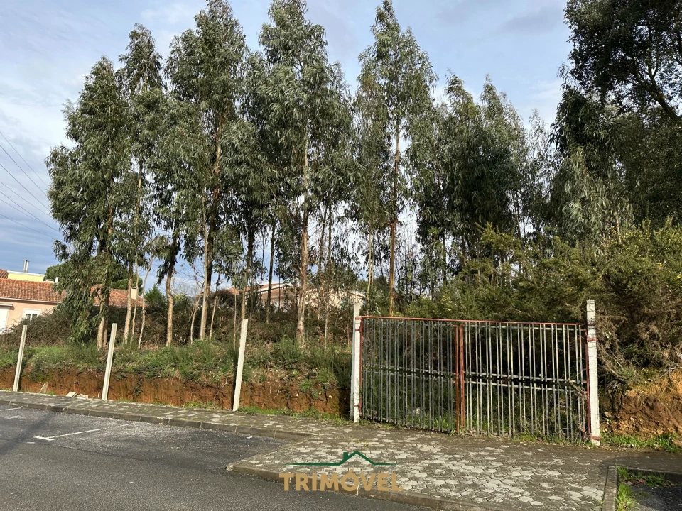 Terreno para Venda em Vila de Cucujães Foto 3