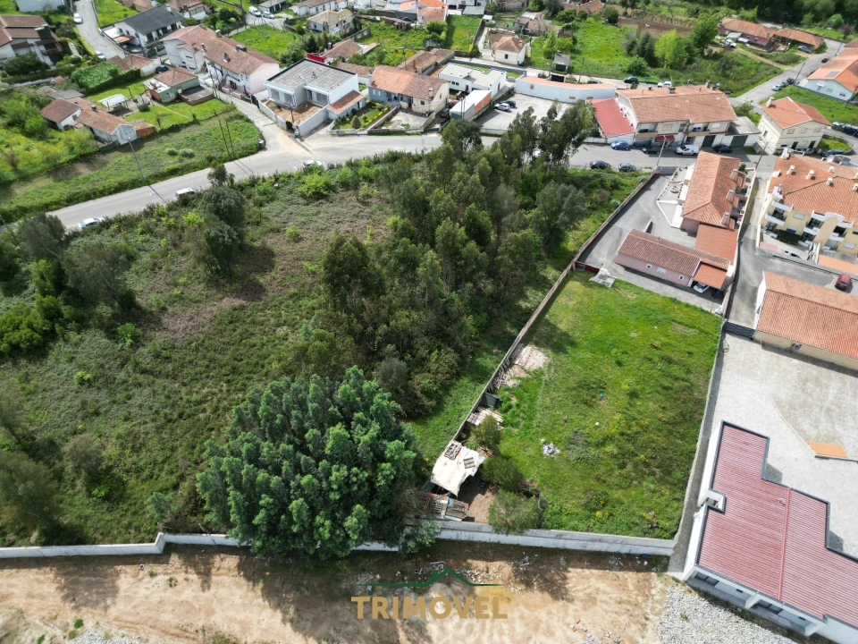 Terreno para Venda em Vila de Cucujães Foto 2