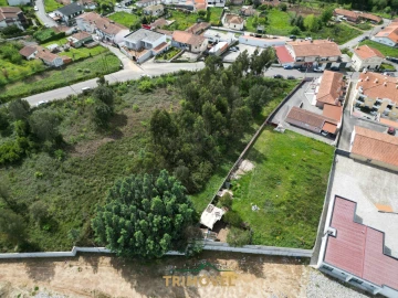 Terreno para Venda em Vila de Cucujães