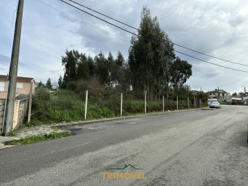 Terreno para Venda em Vila de Cucujães