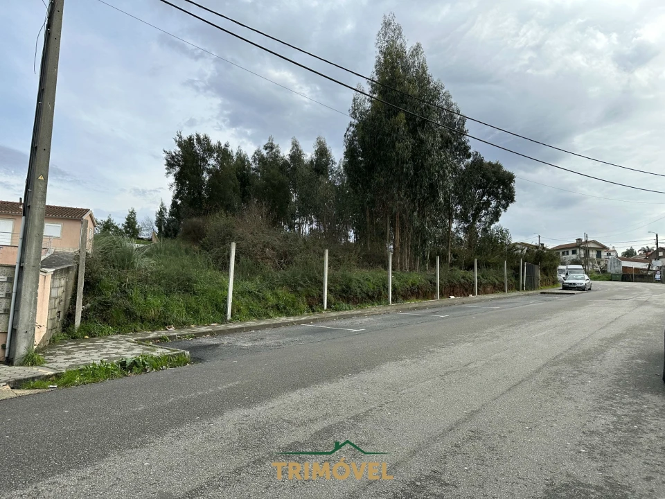 Terreno para Venda em Vila de Cucujães Foto 7