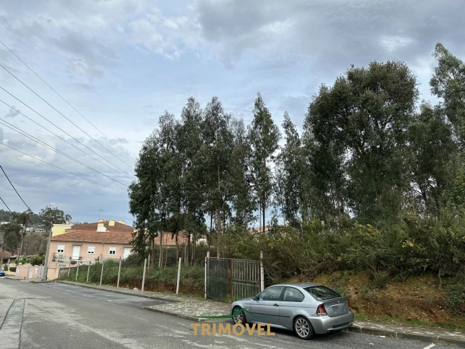 Terreno para Venda em Vila de Cucujães Foto 8