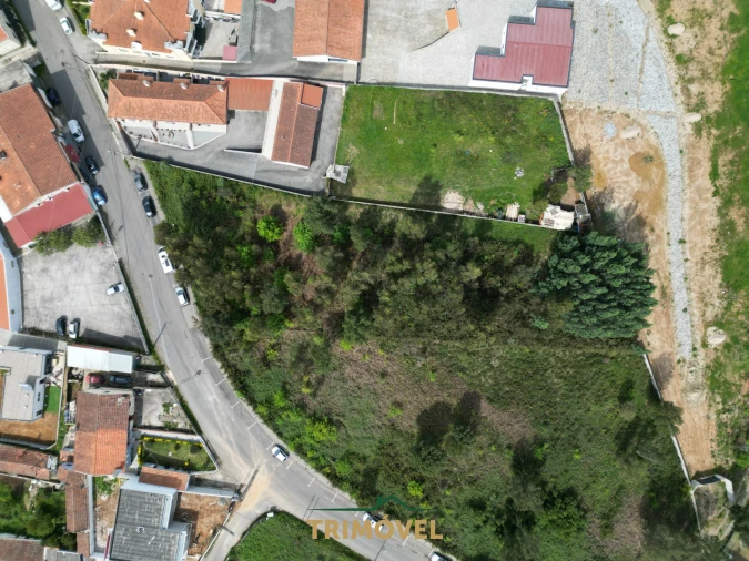 Terreno para Venda em Vila de Cucujães Foto 11