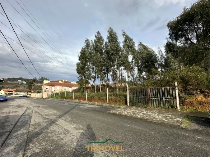 Terreno para Venda em Vila de Cucujães Foto 4