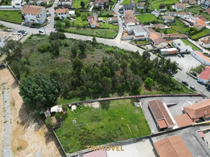 Terreno para Venda em Vila de Cucujães Foto 9