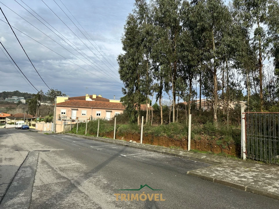 Terreno para Venda em Vila de Cucujães Foto 5