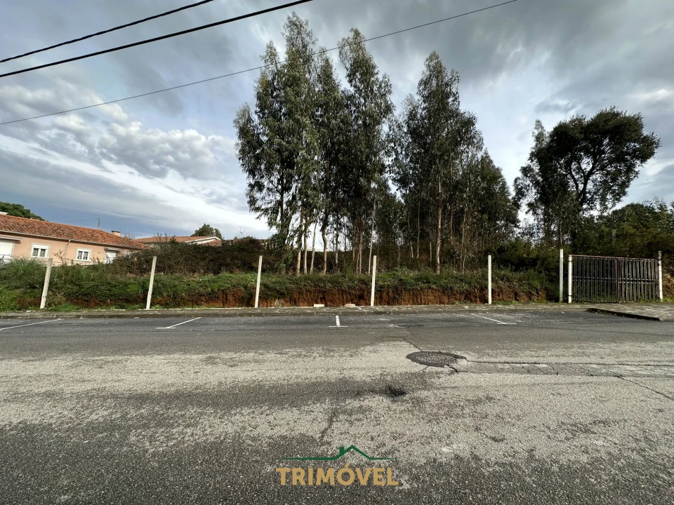 Terreno para Venda em Vila de Cucujães Foto 6