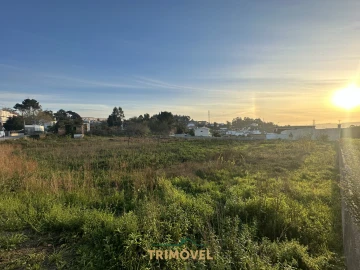 Terreno para Venda em O. Azeméis, Riba-Ul, Ul, Macinhata Seixa, Madail