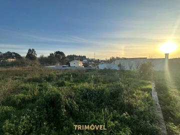 Terreno para Venda em O. Azeméis, Riba-Ul, Ul, Macinhata Seixa, Madail