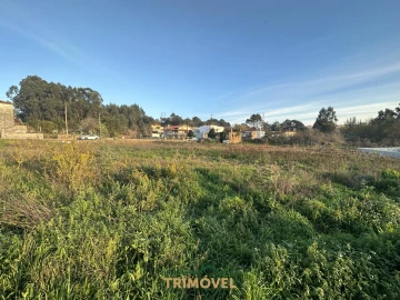 Terreno para Venda em O. Azeméis, Riba-Ul, Ul, Macinhata Seixa, Madail