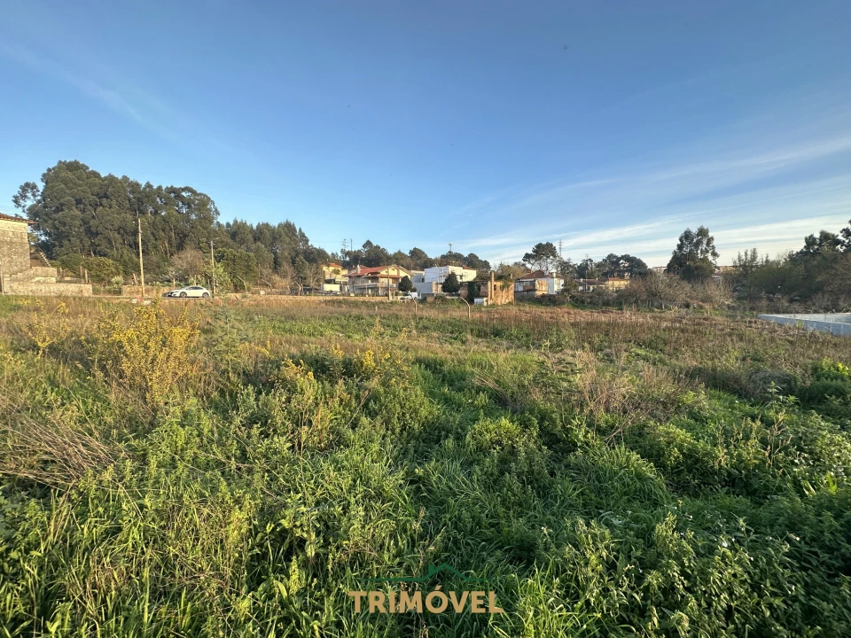 Terreno para Venda em O. Azeméis, Riba-Ul, Ul, Macinhata Seixa, Madail Foto 4