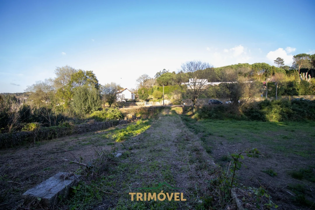 Quinta T0 para Venda em O. Azeméis, Riba-Ul, Ul, Macinhata Seixa, Madail Foto 7