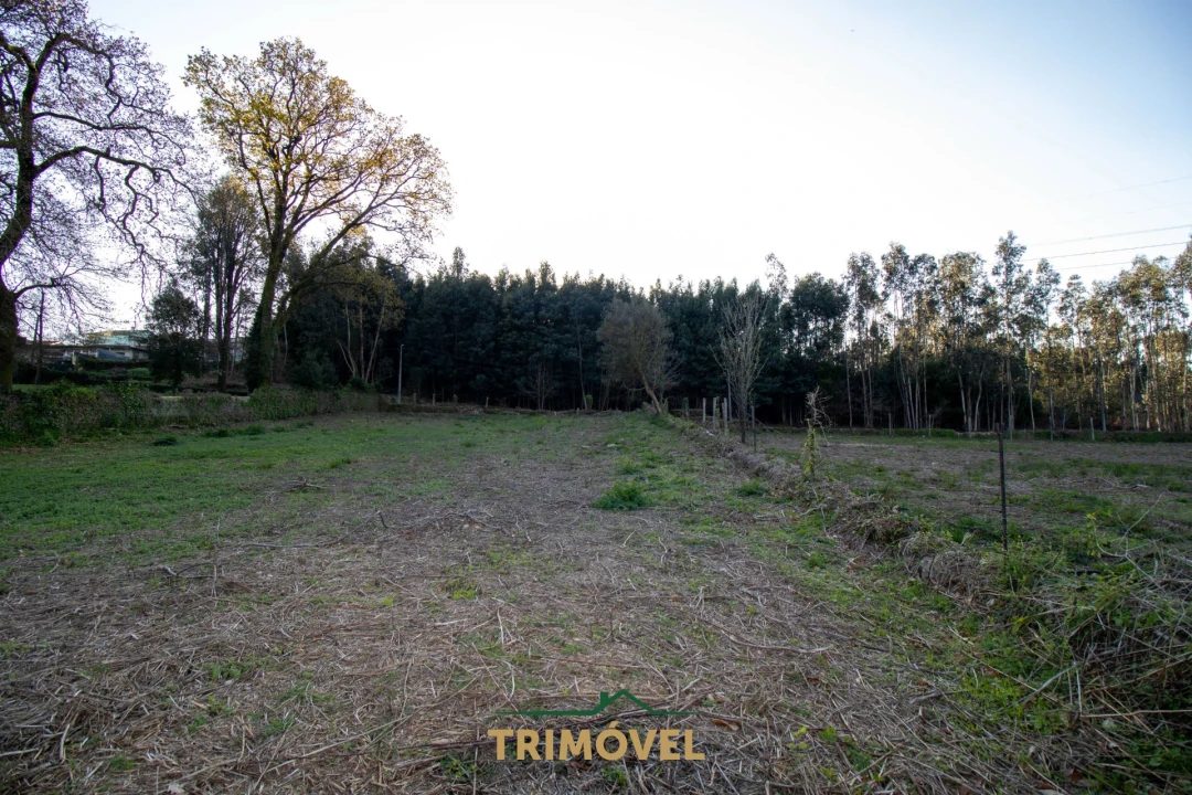 Quinta T0 para Venda em O. Azeméis, Riba-Ul, Ul, Macinhata Seixa, Madail Foto 32