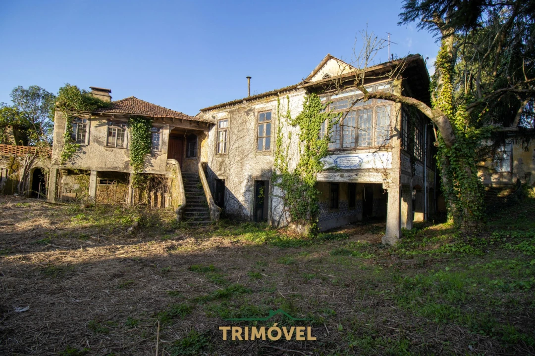 Quinta T0 para Venda em O. Azeméis, Riba-Ul, Ul, Macinhata Seixa, Madail Foto 28