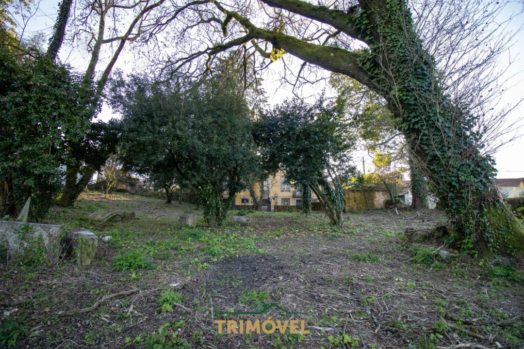 Quinta T0 para Venda em O. Azeméis, Riba-Ul, Ul, Macinhata Seixa, Madail Foto 8