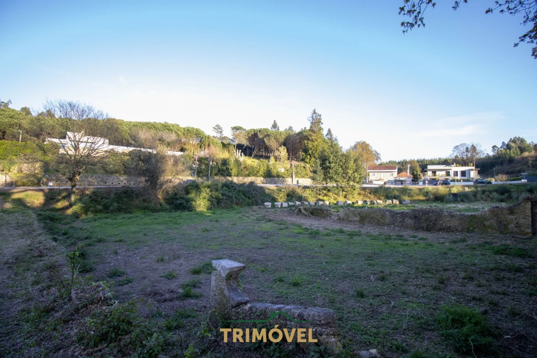 Quinta T0 para Venda em O. Azeméis, Riba-Ul, Ul, Macinhata Seixa, Madail Foto 9