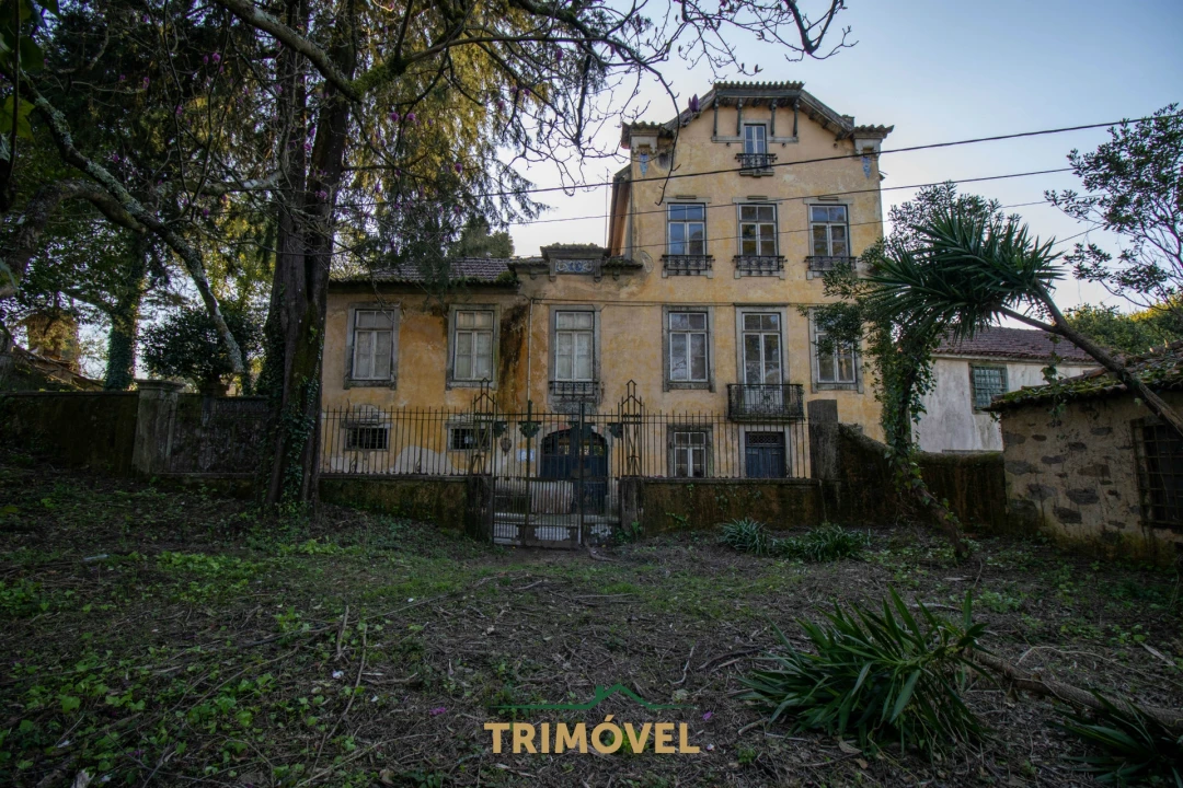 Quinta T0 para Venda em O. Azeméis, Riba-Ul, Ul, Macinhata Seixa, Madail Foto 1