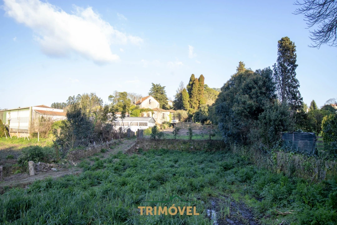 Quinta T0 para Venda em O. Azeméis, Riba-Ul, Ul, Macinhata Seixa, Madail Foto 34