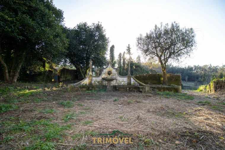 Quinta T0 para Venda em O. Azeméis, Riba-Ul, Ul, Macinhata Seixa, Madail Foto 29