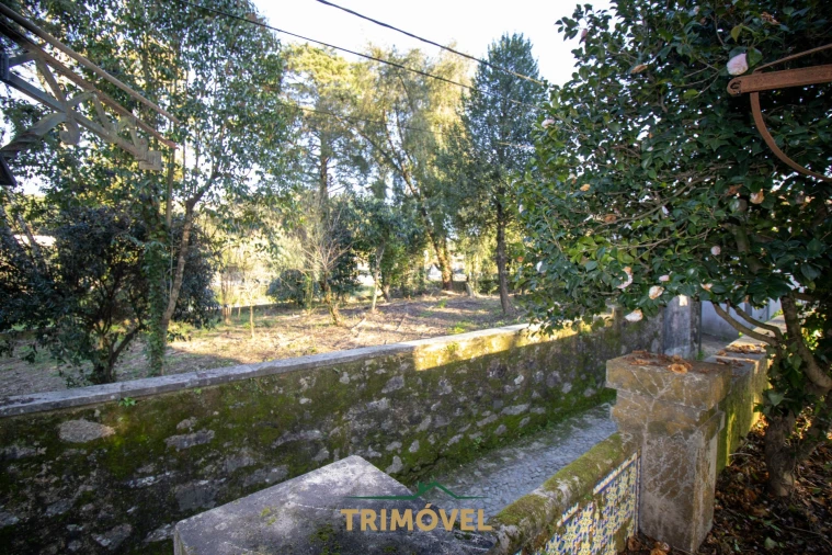 Quinta T0 para Venda em O. Azeméis, Riba-Ul, Ul, Macinhata Seixa, Madail Foto 20