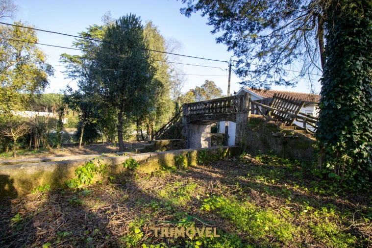 Quinta T0 para Venda em O. Azeméis, Riba-Ul, Ul, Macinhata Seixa, Madail Foto 21