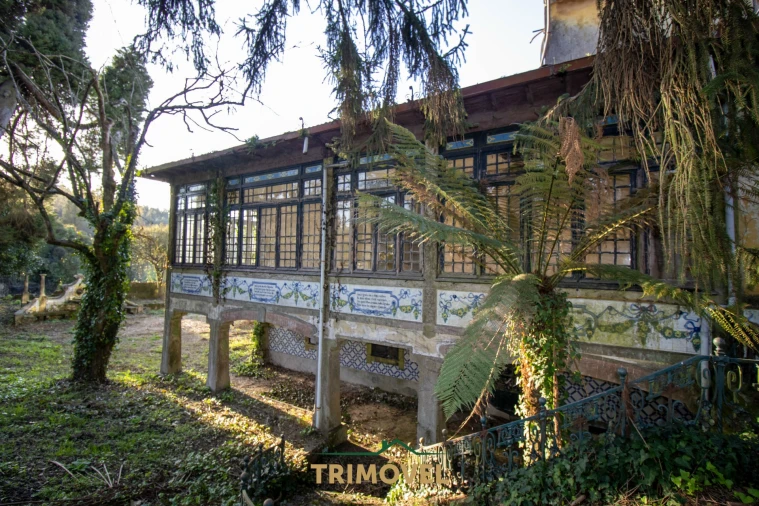 Quinta T0 para Venda em O. Azeméis, Riba-Ul, Ul, Macinhata Seixa, Madail Foto 23