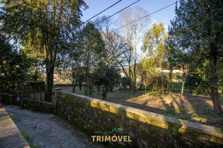 Quinta T0 para Venda em O. Azeméis, Riba-Ul, Ul, Macinhata Seixa, Madail Foto 22